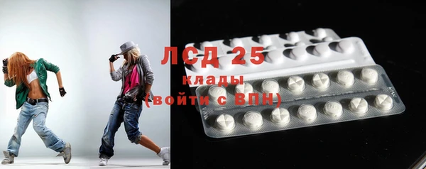 хмурый Алексин