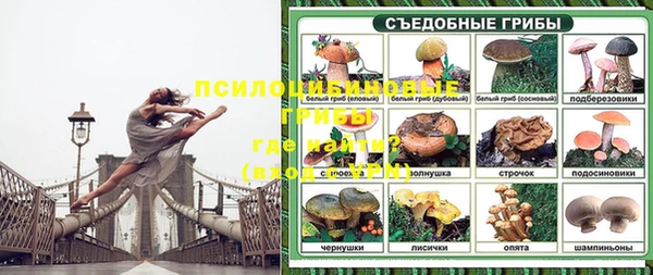 МДПВ Абдулино