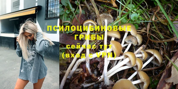 хмурый Алексин